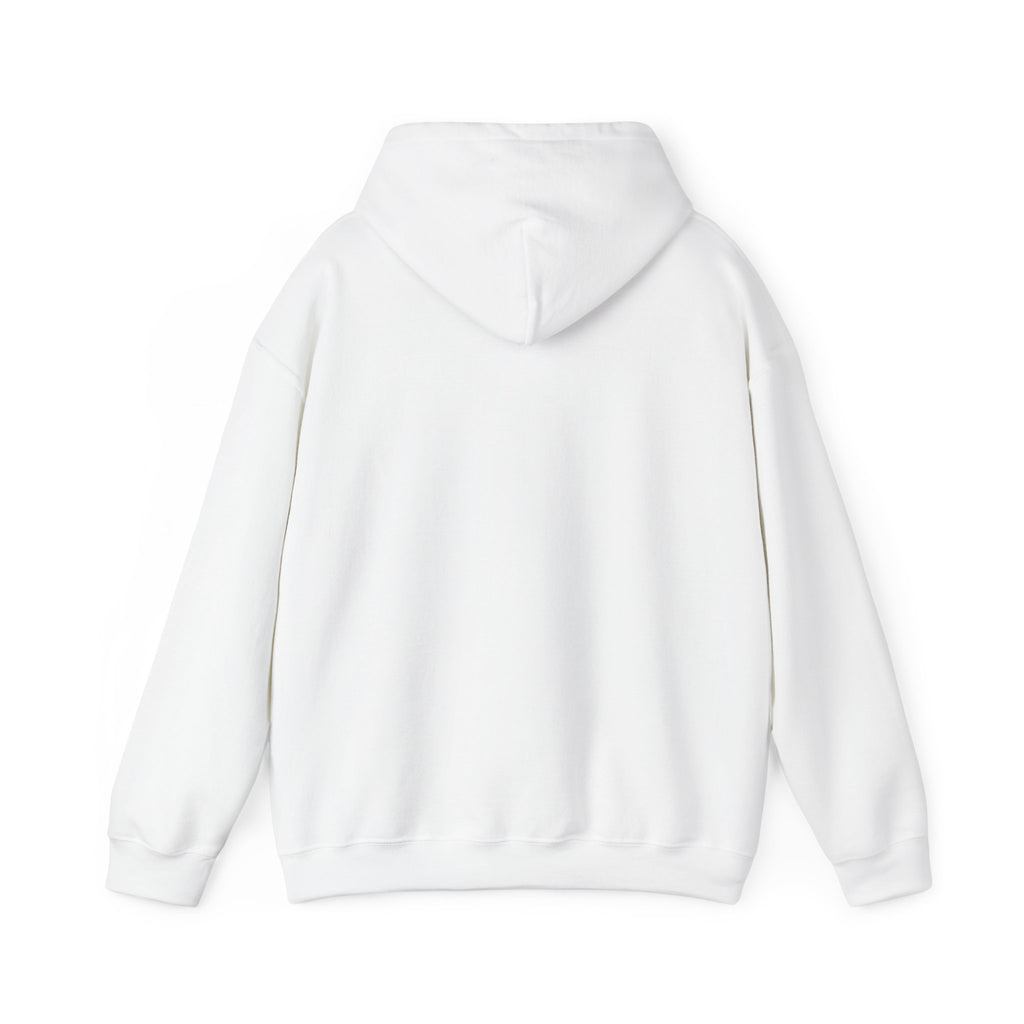 BOUTFITTERS HOODIE