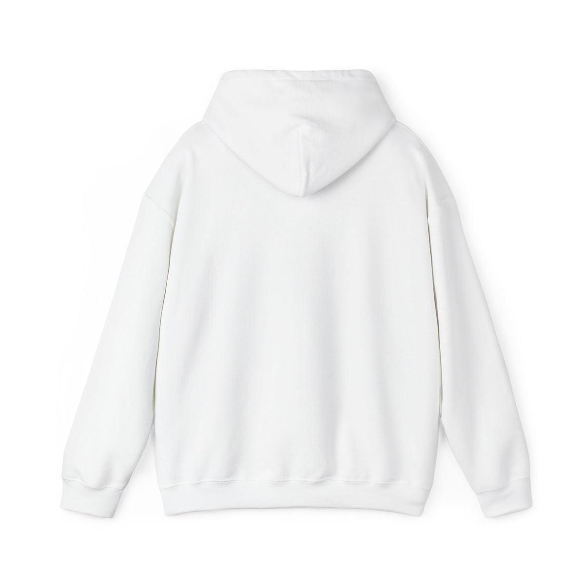 BOUTFITTERS HOODIE