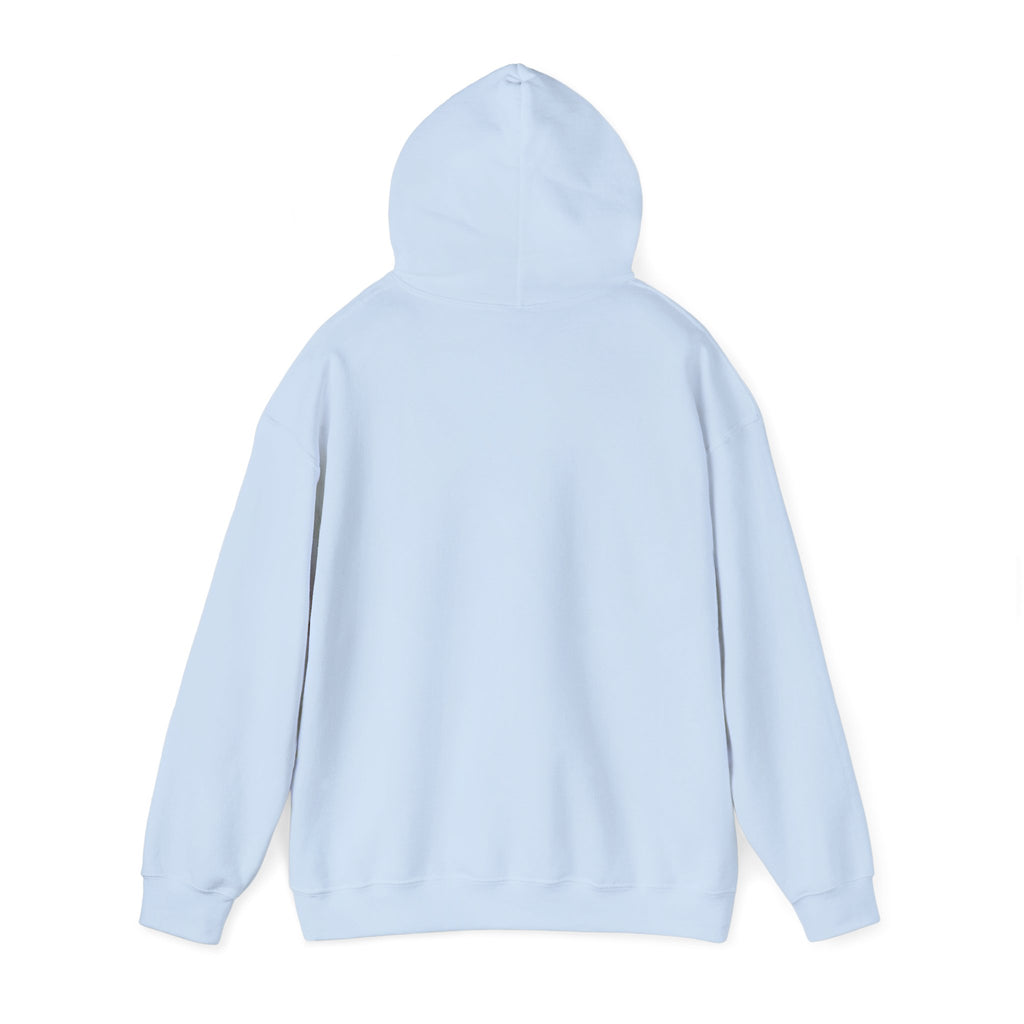 BOUTFITTERS HOODIE