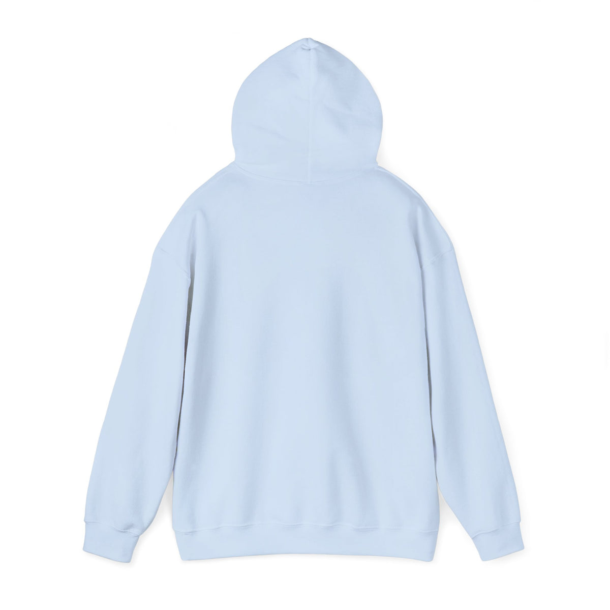 BOUTFITTERS HOODIE