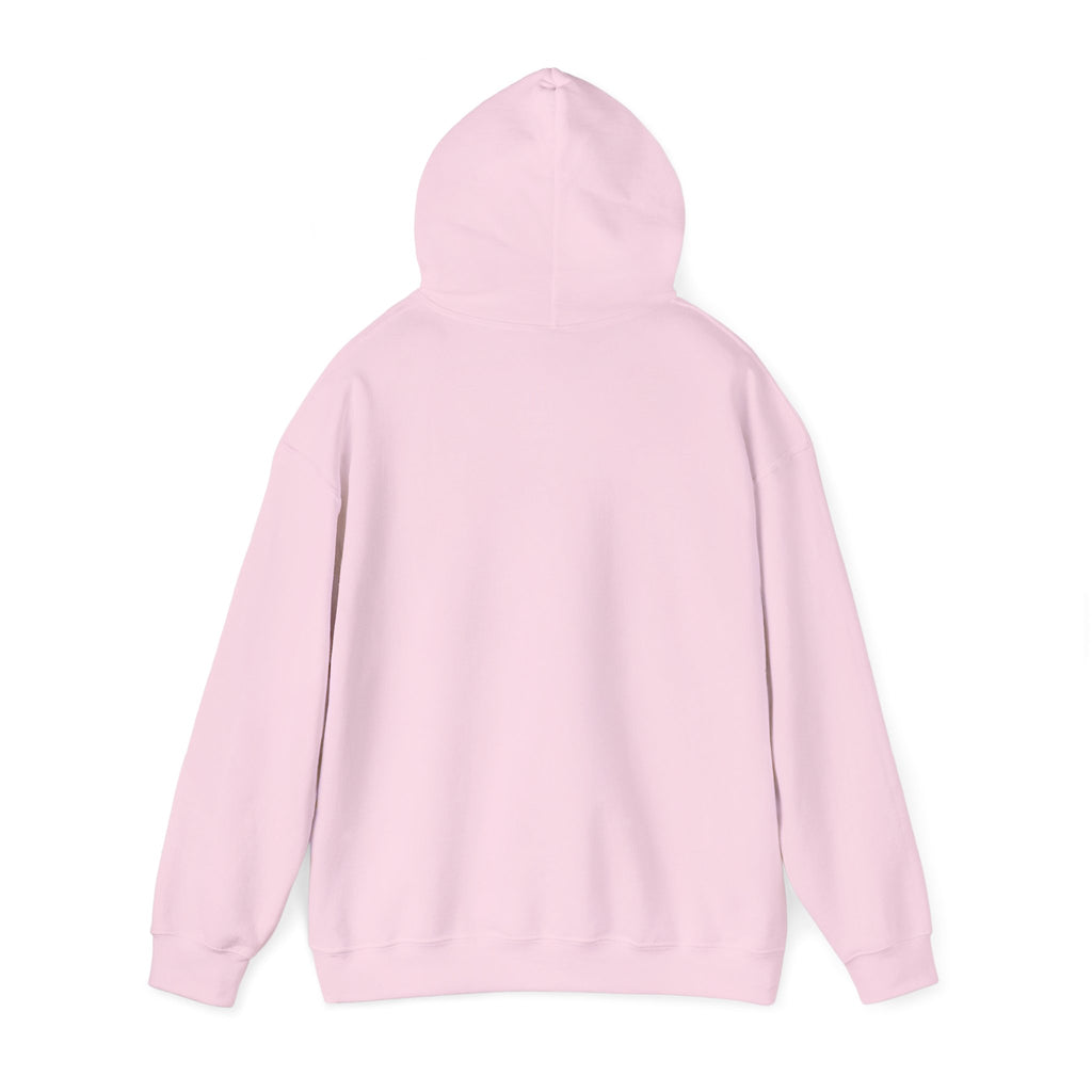 BOUTFITTERS HOODIE